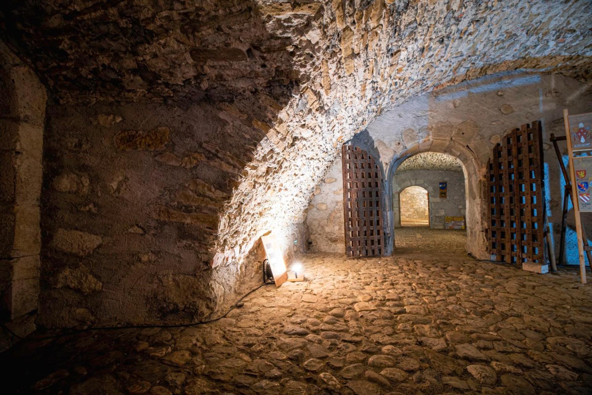 Château de Thorens Ngoại thất bức ảnh